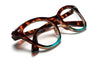 CHIC TRENDY READING GLASSES